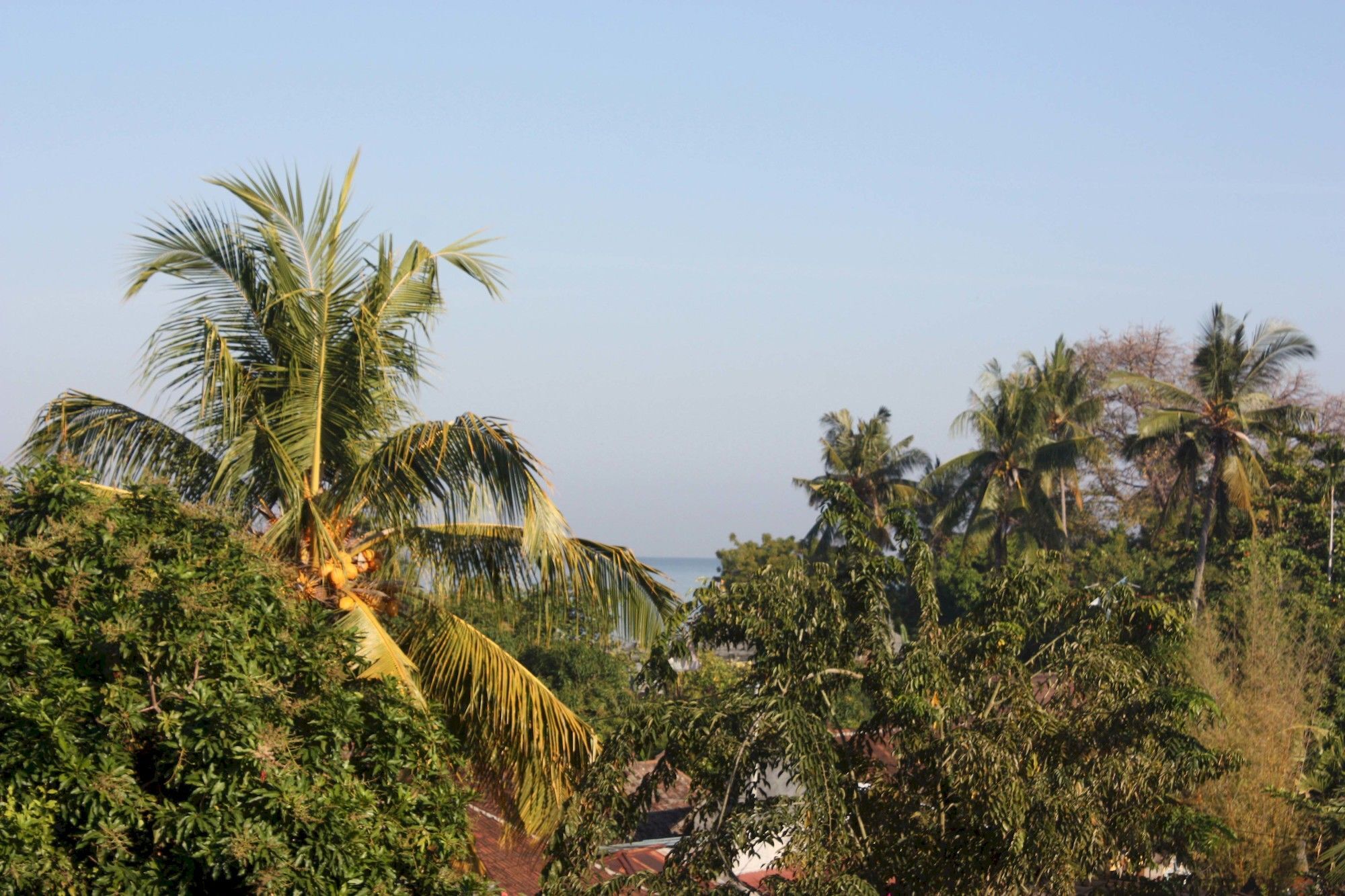 Rambutan Hotel Lovina  Luaran gambar