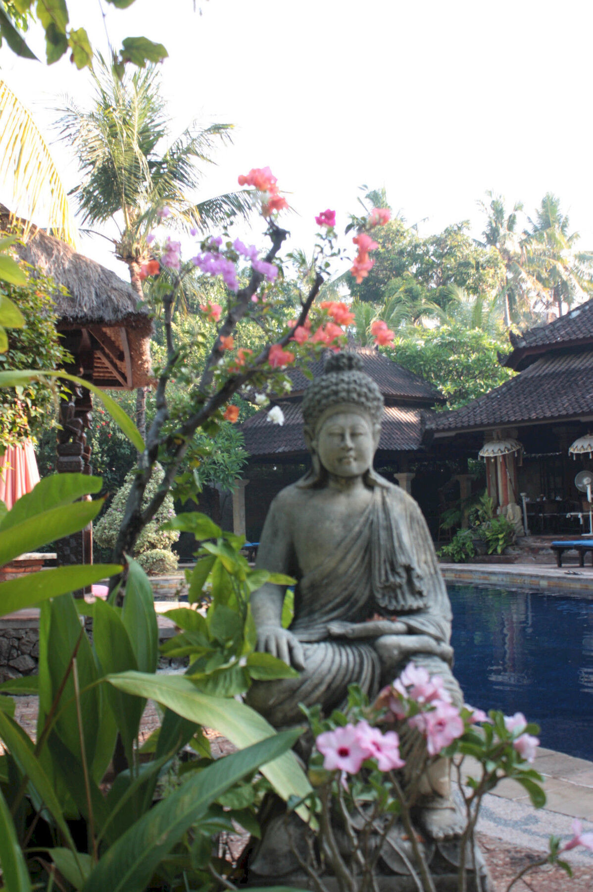 Rambutan Hotel Lovina  Luaran gambar